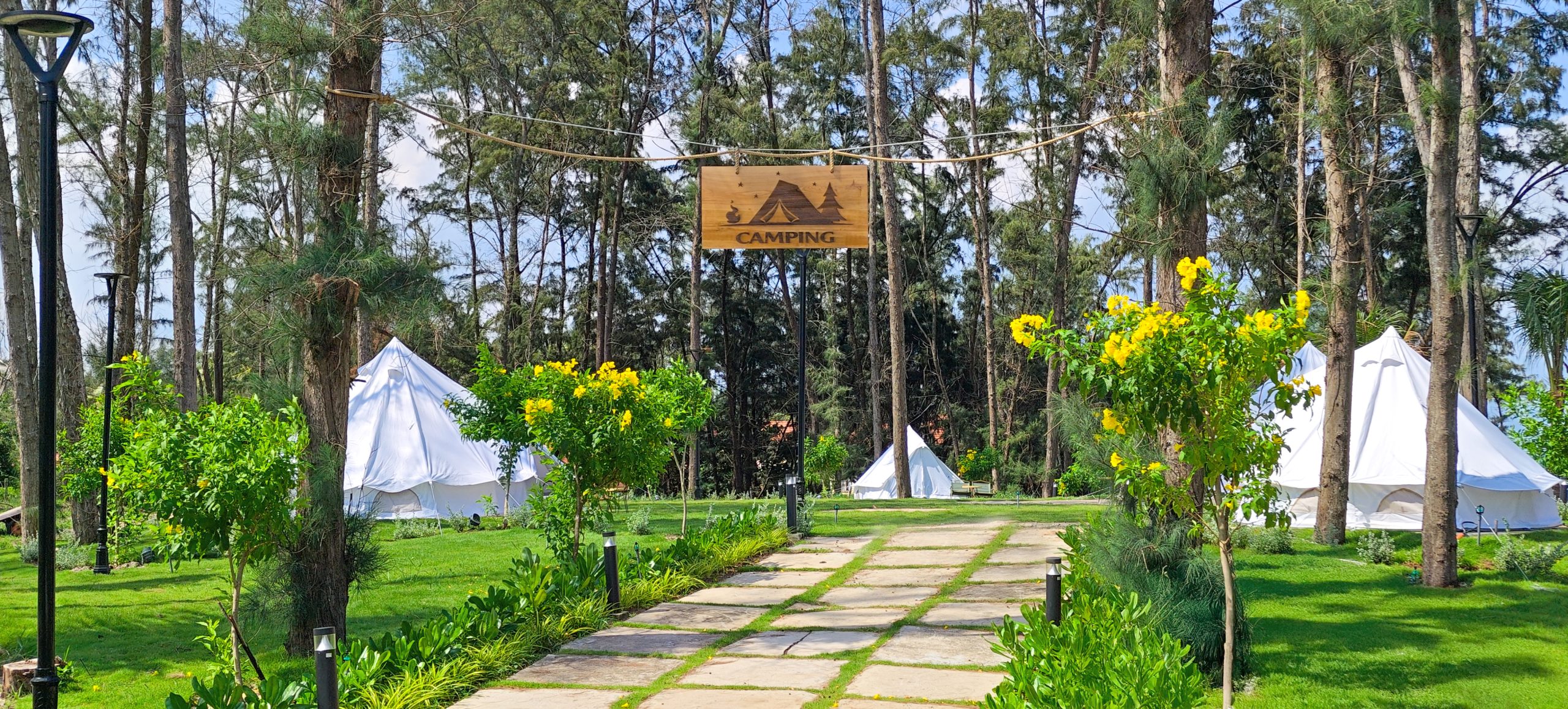 IMG_20250710_140819 copy scaled