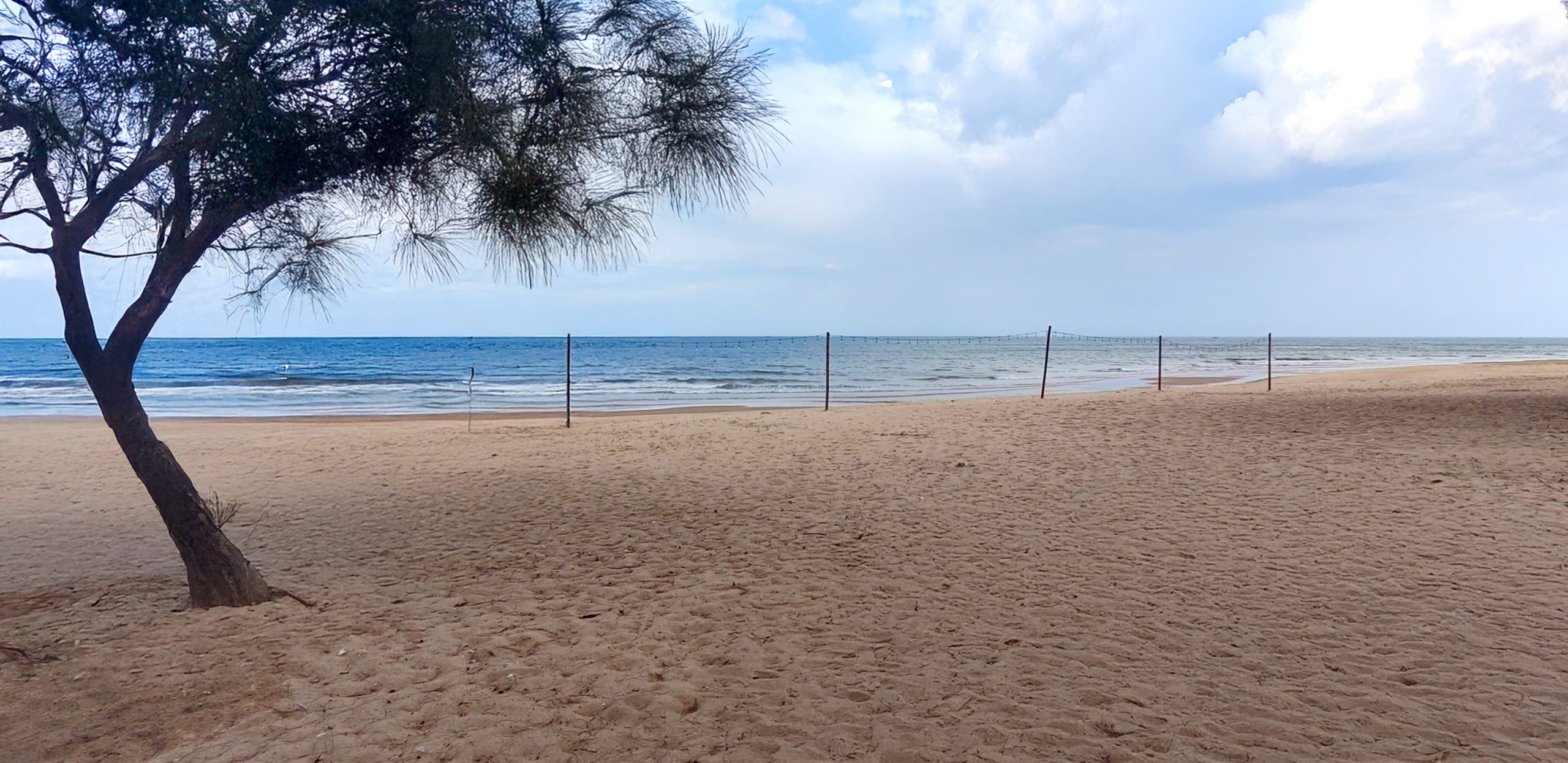 IMG_20250710_143612 copy scaled